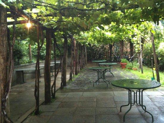 Biblio Cafe Tra l'altro